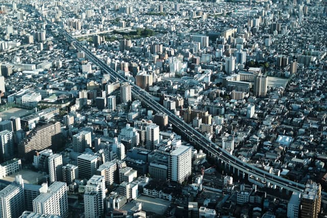 21 8月 25